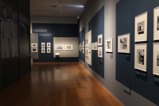 Dorothea Lange, exhibition view, 2025, Palazzo della Penna, Perugia