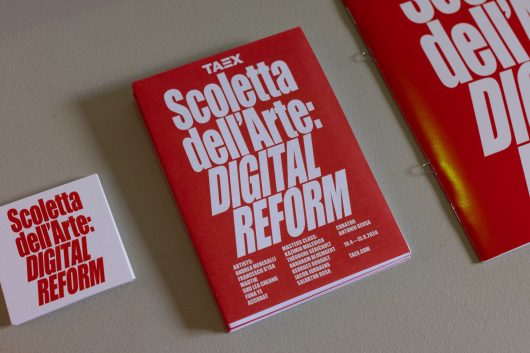 Scoletta dell'Arte: Digital Reform – Courtesy Taex e Cristina GATTI Press & P.R